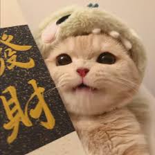 Ảnh đại diện người dùng Phạm Quỳnh Anh